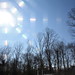 Lynn Slack Photo 26