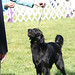 Henry Stack Photo 8