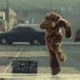 Robert Falconer Photo 10