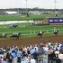 Brian Kohn Photo 39