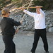 Cynthia Krause Photo 23
