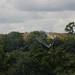 Jason Krause Photo 12