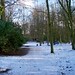 Lee Wood Photo 14