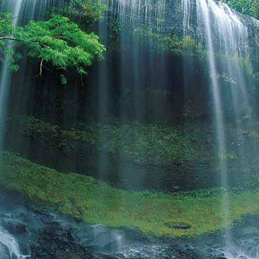 Kiet Vo Photo 27