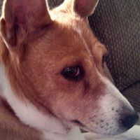 Janet Mattox Photo 6
