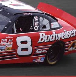 Randy Grubbs Photo 23