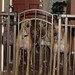 Barbara Demas Photo 7