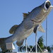 Katherine Fish Photo 11