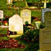 Annette Graves Photo 13