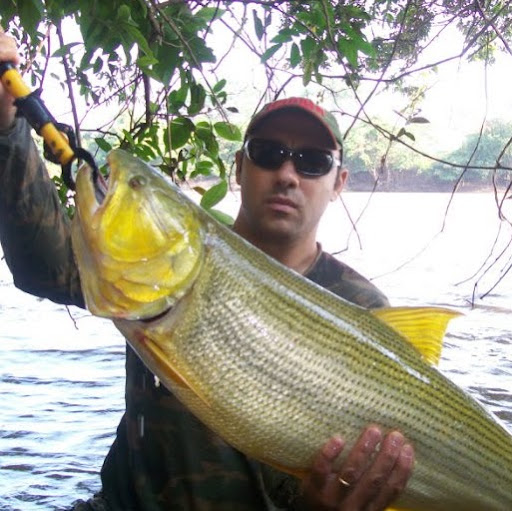 James Reis Photo 20