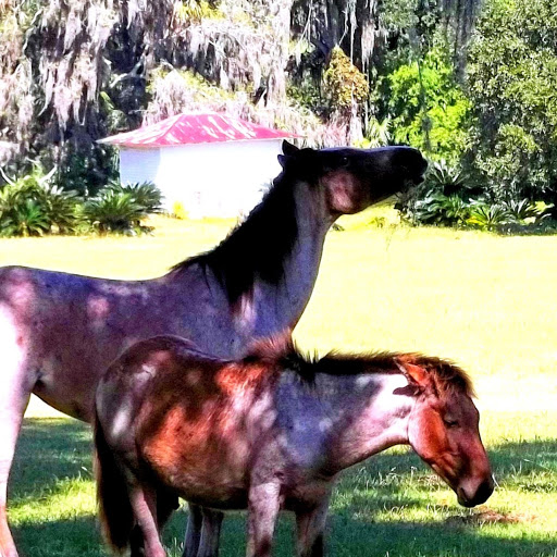 Kimberly Blackburn Photo 32