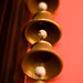 Frances Goodrich Photo 5