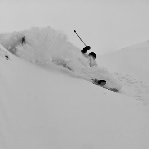 Neil Shea Photo 8