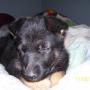 Donna Johnston Photo 6