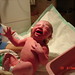 Jason Werner Photo 25