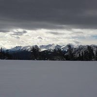 Scott Neeley Photo 25