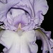 Frances Beard Photo 19
