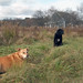 Lester Wells Photo 10