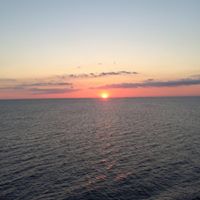 Robbie Shackelford Photo 5