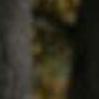 Paul Mackie Photo 6