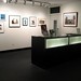 Debra Willis Photo 17