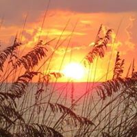 Julie Dietz Photo 10