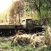 Karl Bush Photo 20