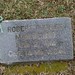 Robert Miles Photo 20