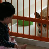 Yungi Chang Photo 2