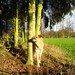 Karl Herbst Photo 5
