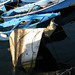 Enrico Greco Photo 10