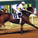 Beverly Pitts Photo 13
