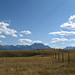 Stephanie Paddock Photo 16
