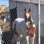 Linda Shelton Photo 31