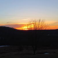 Phyllis Schultz Photo 19