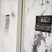 Heather Grossman Photo 35