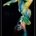 Mark Reid Photo 11