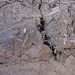 Justin Cline Photo 14