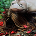Meredith Williams Photo 52