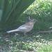 April Caywood Photo 7