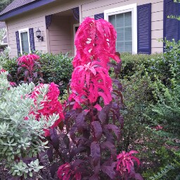 Patricia Conley Photo 12