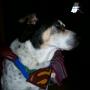 Tracy Childers Photo 37