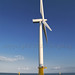 Lynn Power Photo 20