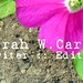 Sarah Caron Photo 32