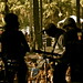 Donna Capps Photo 17