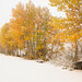 Philip Robertson Photo 43