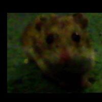 Joseph Lally Photo 26