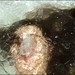 Leticia Robles Photo 9
