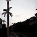 Ching Tung Photo 14