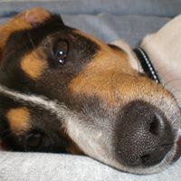 Nancy Biddle Photo 5